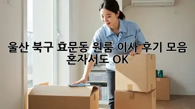 울산 북구 효문동 원룸 이사 후기 모음: 혼자서도 OK!