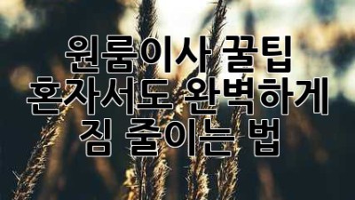 원룸이사 꿀팁🍯 혼자서도 완벽하게! 짐 줄이는 법🧳